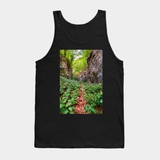 Hiking trail in the mountains Tank Top